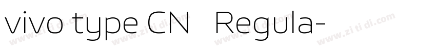 vivo type CN简 Regula字体转换